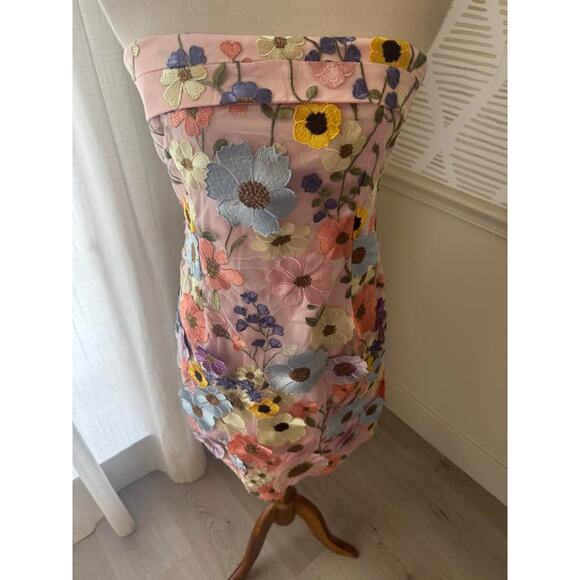 NWT Gigi & Ella Size 8 Medium Wren Pink Strapless 3D Garden Flowers Dress - Picture 4 of 9